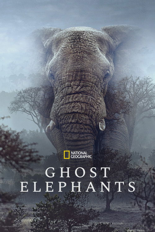 Постер: Ghost Elephants