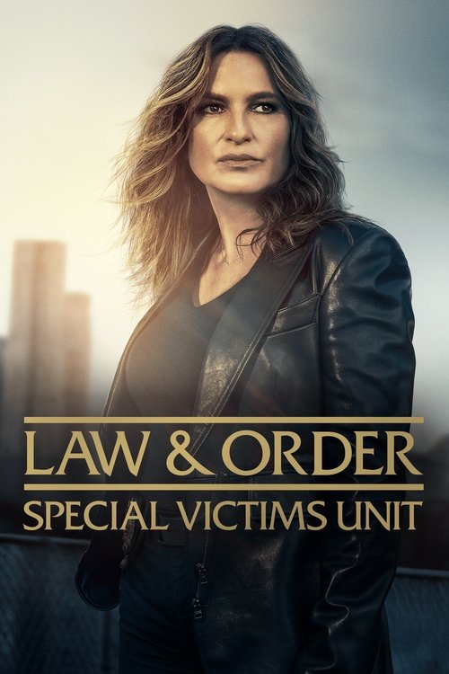 Poster: Law & Order: Special Victims Unit
