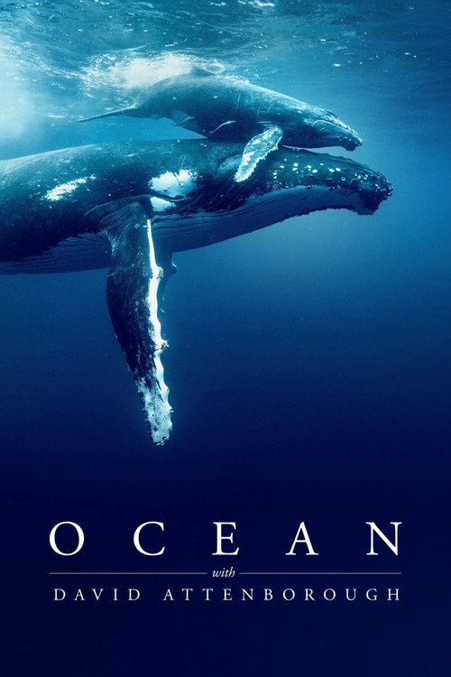 Постер: Ocean with David Attenborough
